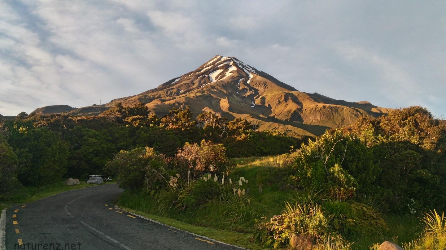 タラナキ山 エグモント国立公園 のトレッキングコースは４種類 １時間 最大５日間まで Nature ニュージーランド