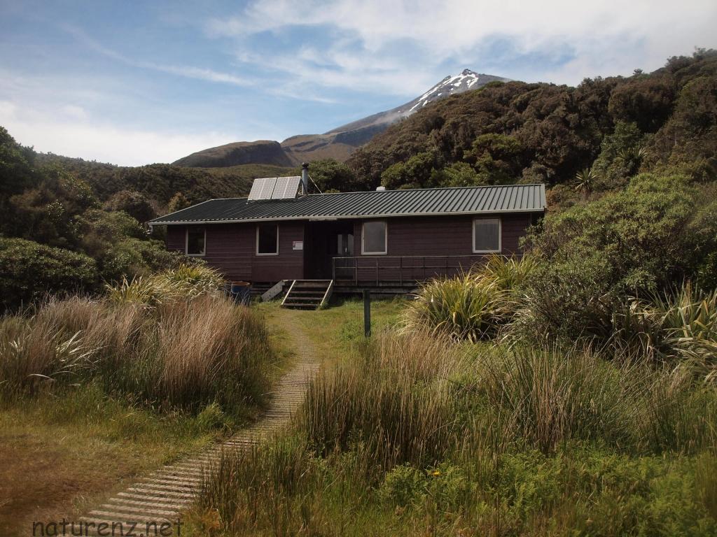 ニュージーランドの山小屋 ハット の泊まり方を徹底解説 Nature ニュージーランド